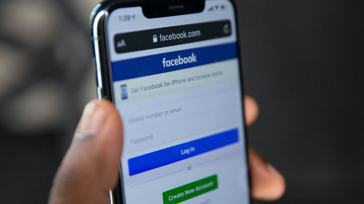 Elon Musk scam tricks victims on Facebook with Tesla hoax 4 musk facebook scam 3