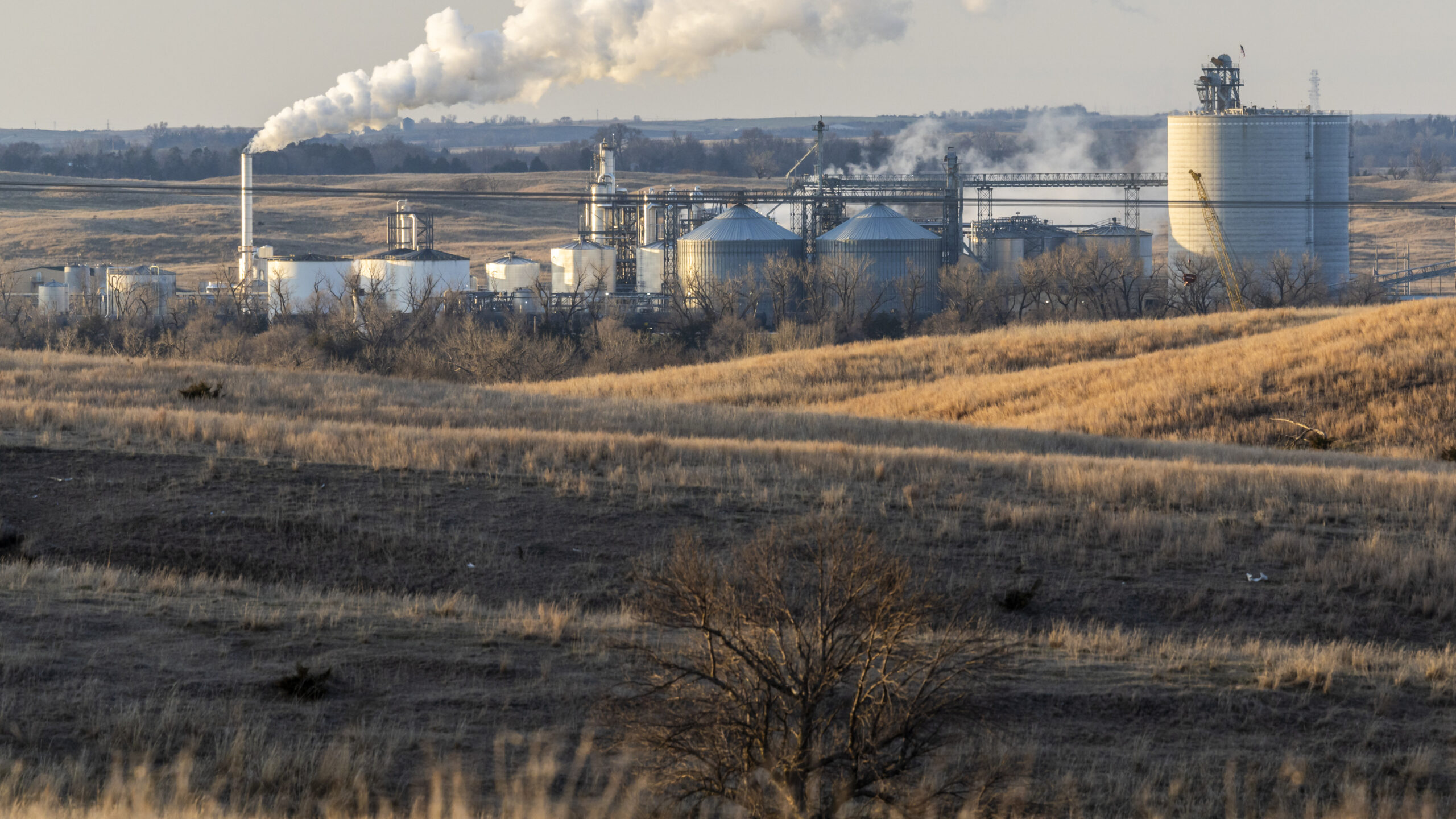 Biofuels policy has been a failure for the climate, new report claims 3 GettyImages 2166100083 2560x1440 1