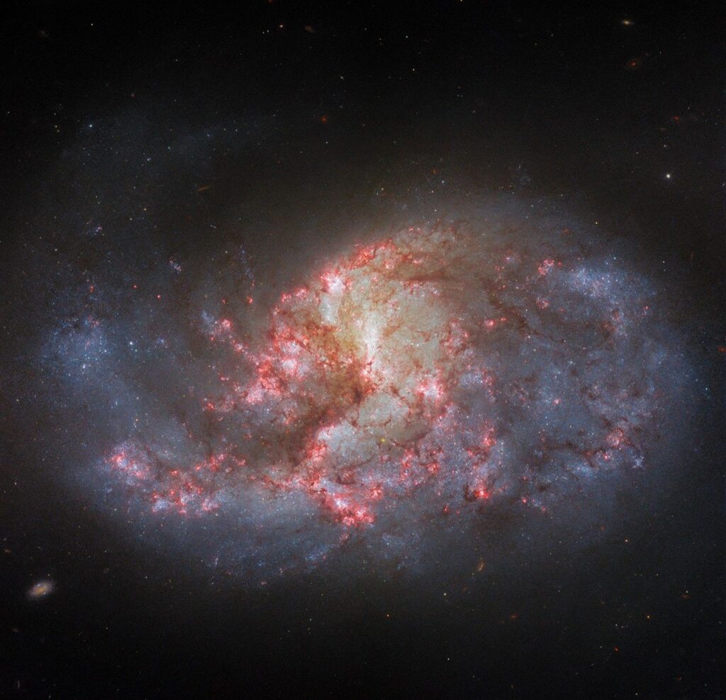 Hubble NGC1385 potw2346a