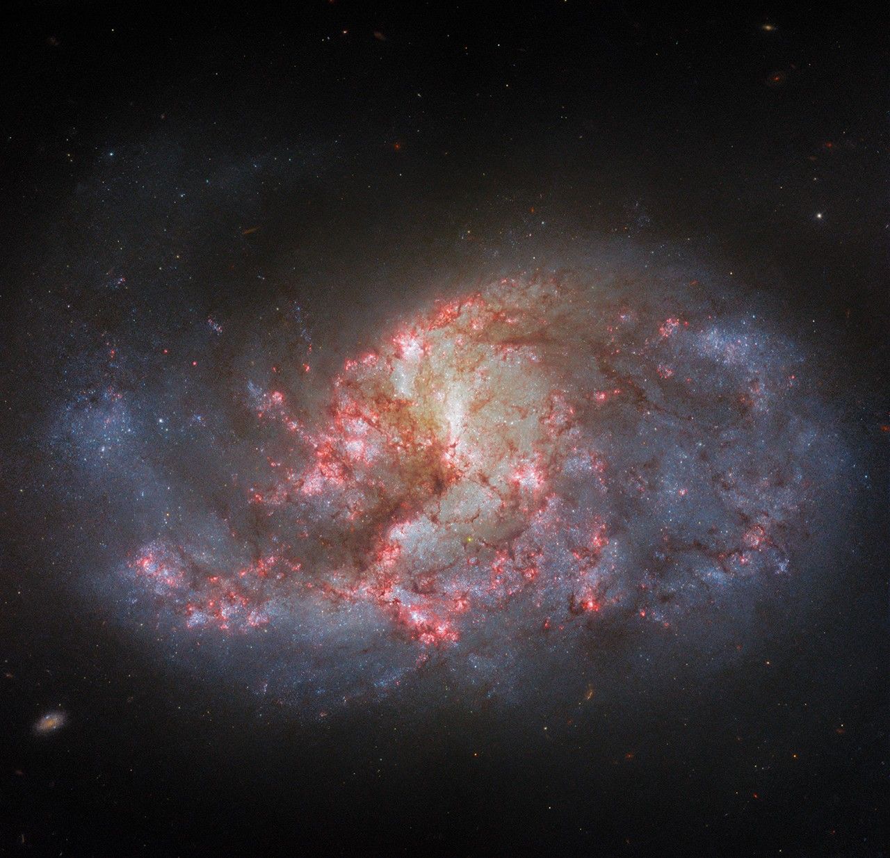 Hubble Filters a Barred Spiral 3 Hubble NGC1385 potw2346a
