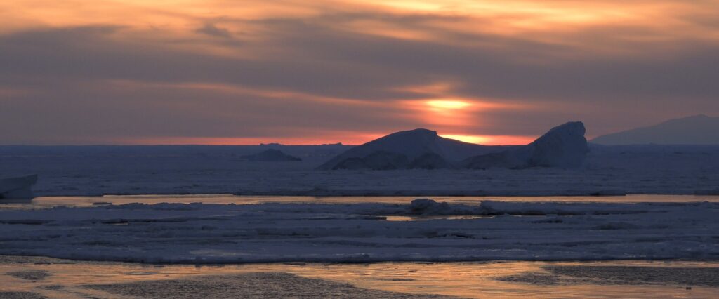 Southern Ocean sea ice pillars