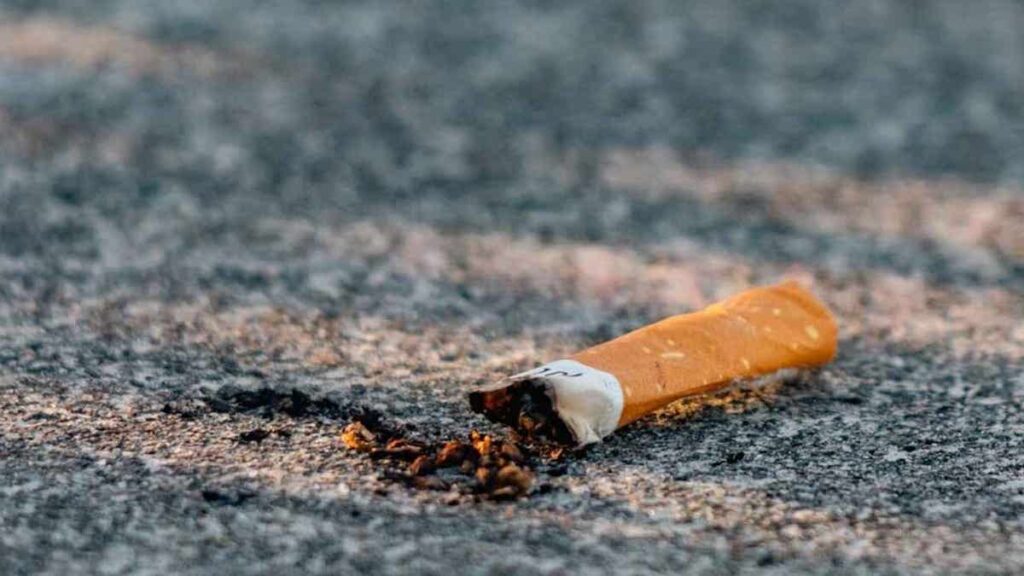 1 cigarette butts make roads stronger than ever before
