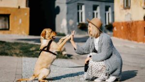 Home 29 1 would you date your pet 1 in 3 say yes to ai version