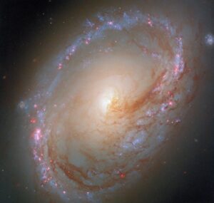 Home 14 Hubble M96 2025 potw2534a