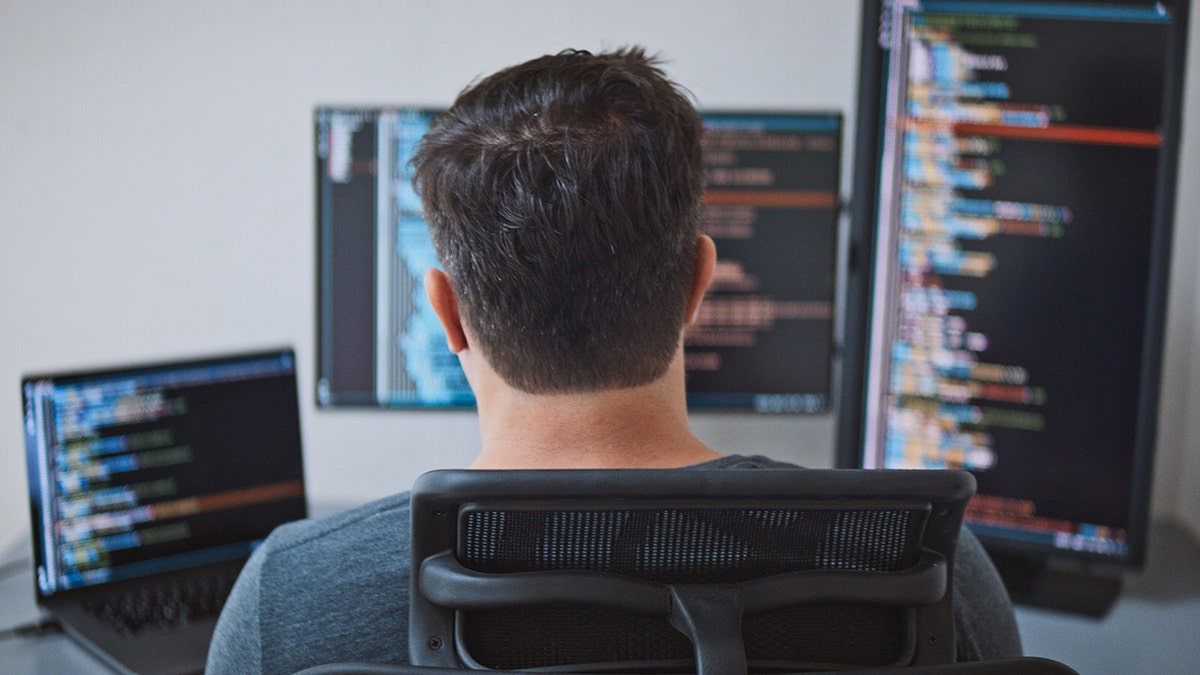 Home 1 american man at computer