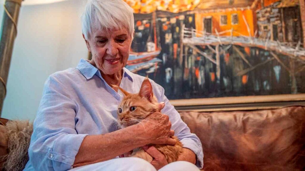 1 ai tech helps senior woman reunite with her cat after 11 days