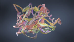 GettyImages 2216287507 1152x648 1