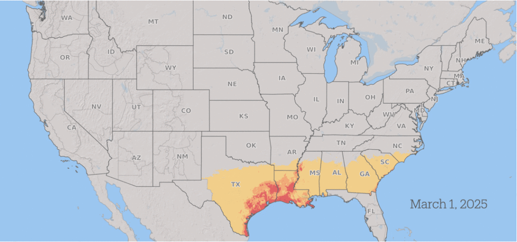 Scientist pleaded guilty to smuggling Fusarium graminearum into US. But what is it? 2 fusarium3