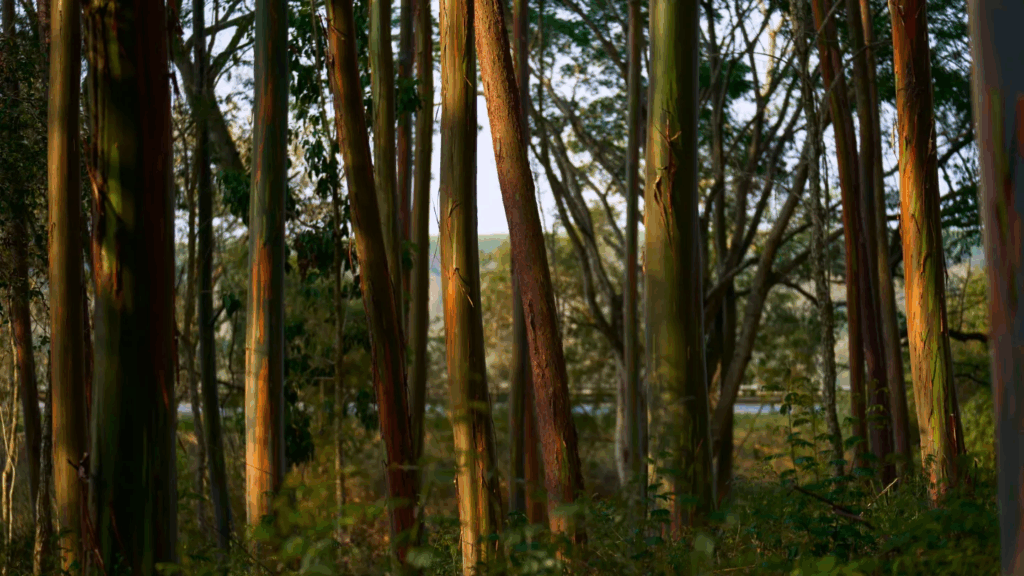 The Download: the risk of falling space debris, and how to debunk a conspiracy theory 2 image f42921