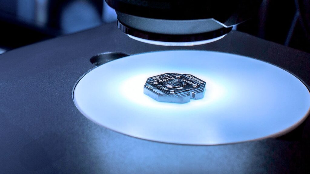 Fully implantable brain chip aims to restore real speech 2 paradromics implant